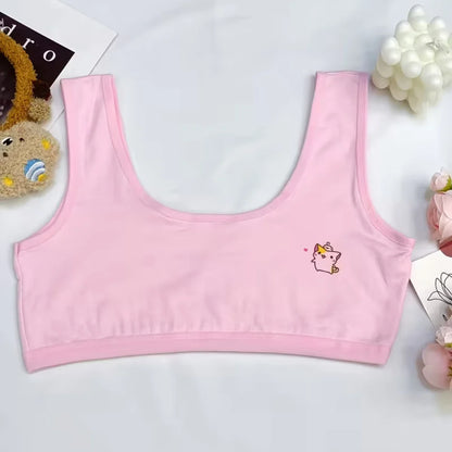 Pack Of 3 Teenage Girls Cotton Training Bra – Non Padded, Steel-Free Bra, Everyday Comfort